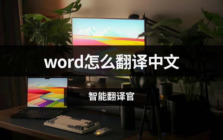 word怎么翻译中文